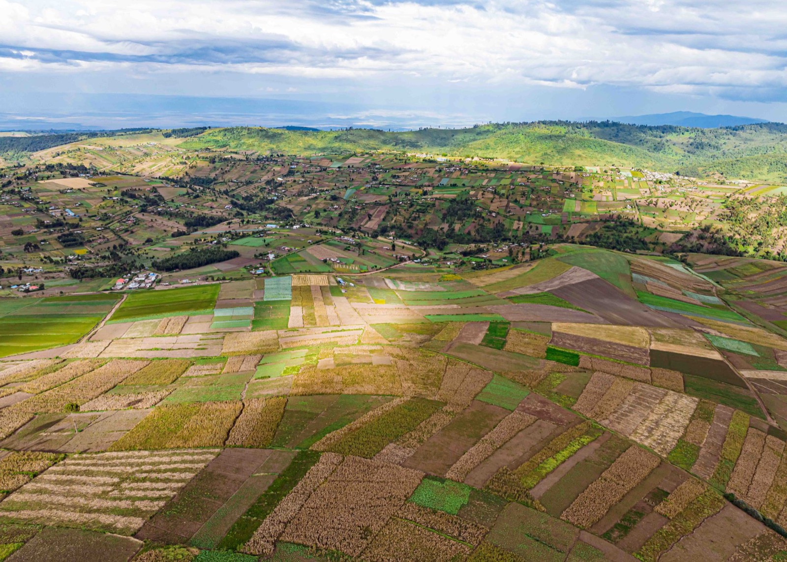 Vue aérienne des champs
